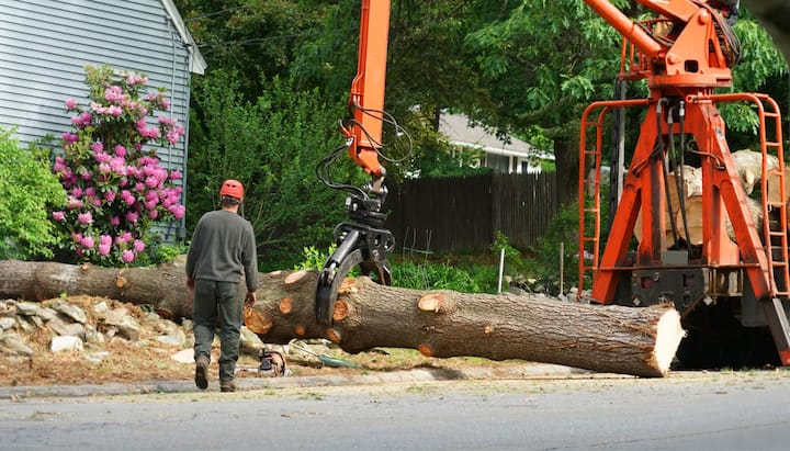 tree service peoria il